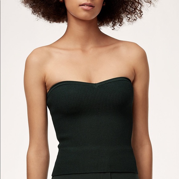 Aritzia Tops - Olaf Babaton Tube Top